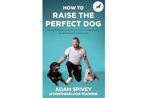 How to Raise the Perfect Dog: Everything you need to know from puppyhood to adolescence and beyond