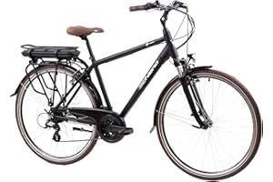 ‎F.LLI SCHIANO F.lli Schiano E-Ride 28 Inch E-Bike Pedelec, Electric Bicycles for Adults Men/Women up to 25 km/h Comfort Trekking Electric Bicycle with Bicycle Accessories Battery Chain Guard Men's Bicycle