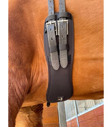 Gogue HKM In Pelle Morbida Per Addestramento Cavallo – Universale E Delicato