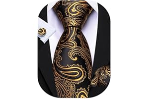 HI-TIE Barry.Wang - Set di gemelli da uomo con cravatte in seta, con tasca quadrata