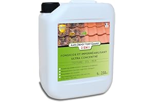 GUARD INDUSTRIE - Anti Dépôt Vert Guard 2 en 1 - Imperméabilisant Fongicide Invisible, Hydrofuge, Anti Champignon, Lichen, Algue - Tous Matériaux - Fabrication Française - Bidon - 5 L - Traite 250 m2