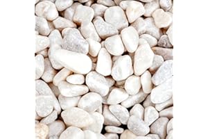 Gravier pour Jardin et décoration à l'intérieur et à l'extérieur (Blanc, 850g)