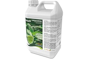 CULTIVERS Purín de Ortiga Ecológico de 5 L. Súper concentrado. Acción Insecticida, Fungicida, Acaricida. Corrige la clorosis férrica. Control de Plagas y Hongos Sustancia Básica Natural. Poder