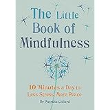 The Little Book of Mindfulness: 10 minutes a day to less stress, more peace (The Little Books)