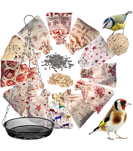 Calendrier De L'Avent Oiseaux 2025, Compte à Rebours De 24 Jours Avant Noël Avec 24 Décorations D'oiseaux Uniques En Acrylique à - Maison