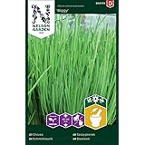Schnittlauch Samen - Nelson Garden Küchenkräuter - Kräutersamen Schnittlauch (455 Stück) (Einzelpackung)