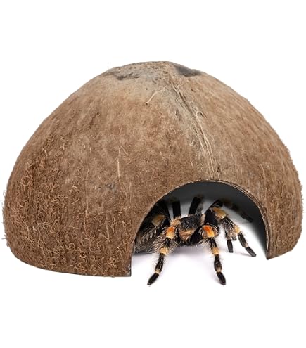 Mojave Cave M – Grotta In Poliresina Per Terrari, Rifugio Realistico Per Lucertole E Serpenti