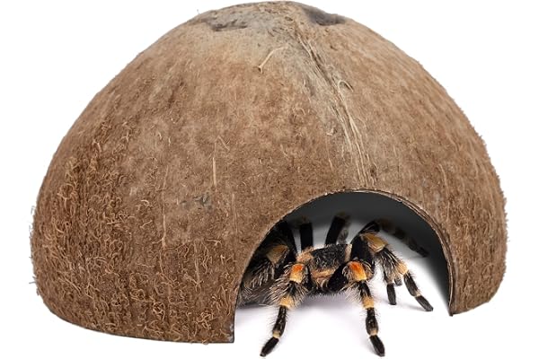 Lot de 2 cachettes naturelles en noix de coco pour reptiles, lézard, araignée et poissons d'aquarium (surface naturelle)