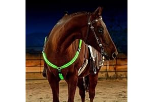 SSZYace Adjustable LED Horse Breatplate Collar, Nylon LED Night Flashing Light Bar Harness Tack Equestrian Safety Gear with 3 Lighting Modes and USB Rechargeable (Green)