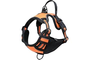 Bihotzak Arnes Perro Pequeño Mediano Grande sin Tirones Accesorios para Perros Ajustable Transpirable Reflectante con Cierres de Seguridad (Naranja, M)