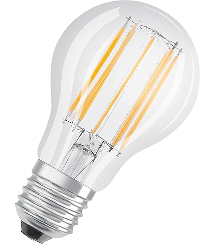 Lámpara De Ahorro De Energía En La Mano Lámpara Led Aislada En La Mano