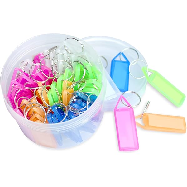 Writeable Plastic Keychains Pack Of 50 DREAM XPLORE 50-Pack Writeable ...