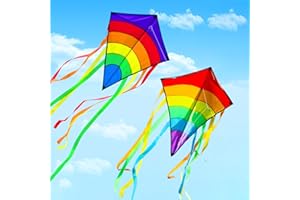 LOEPENLE 2 aquiloni per bambini a partire da 3 e adulti, 140 x 75 cm, drago delta colorato per bambini, drago singolo con filo da 100 m e coda lunga 8 x 75 cm