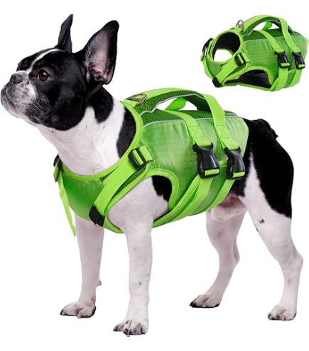 EzyDog X2 Boost Reddingsvest Voor Honden – Verhoogd Drijfvermogen, Reflecterende Rand, D-ring En Handvat – Maat XS (gele Kleur) – Voor Boot, Paddleboard En Zwemmen