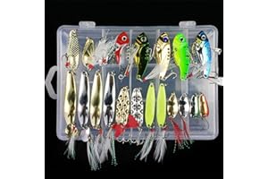 RoseFlower Kit di Esche da Pesca, 21 Pcs Esche Cucchiaino Artificiale Pesca Richiamo Set per Trota, Persico, Luccio Spoon Kit- Esche da Spinning Accessori con Vermi, Esche Dure, Ganci Singolo, Insetti