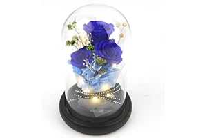 Forever Flowers Real Eternal Roses - Kylin Glory Preserved Flowers Gift with LED Mood Lights for Valentine's Day Birthday Anniversary, Elegant Present for Girlfriend Wife Mom Women (Grande Blue)