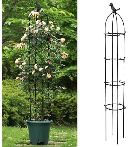 Traliccio di Piante da Interno per Piante Rampicanti, Traliccio di Supporto per Cerchi Rotondi in Metallo, Viti da Fiore in Plastica Supporto per Trale Impilabili (1