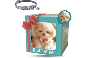 Qosneoun Nicco-My - Cachorro robot realista, 2025 nuevo perro robot AI, Nicco Robots, actúa como un perro real, robots de felpa interactivos para adultos, caminar, ladrar, mover la cola (D)