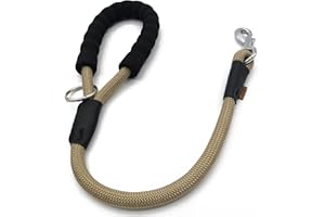 Aiminto Dog Leash, Braided Rope Traction – Walking Training Lead for Medium/Large Dogs ((1/2") - 2FT, Khaki)