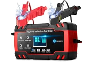 AIBEAU 8A Car Battery Charger, 12V 24V Battery Charger & Maintainer, 3-Stage Automatic Trickle Battery Charger Maintainer with Six Functions for Most Types of 2AH-150AH Lead Acid Batteries
