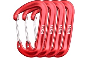 TRIWONDER 12kN Carabiner Clip Heavy Duty Wire Gate Small Carabiner Clips D Shape Keyring Snap Hook for Hammock Camping Hiking Fishing