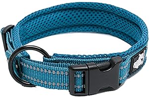 True Love Collier de Chien Réfléchissant Réglable Nylon Solide Confort rembourré Colliers Pet Classic TLC5011(Bleu,L)
