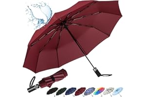 inaWarm Parapluie Pliant Automatique, Parapluie Compact Solide Anti Vent avec Revêtement en Téflon 210T et 10 Baleines en Fibre de Verre, Parapluie de Voyage pour Hommes et Femmes