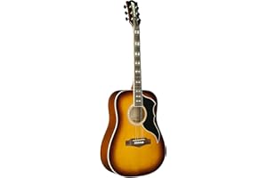 EKO Ranger VI VR Honey burst