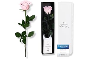 ‎MIA MILANO Infinity Rose Pink on a Stem (Shelf Life of 3 Years) Real Pink Rose in Elegant Gift Box I Decorative Gift for Her I Preserved Flower with Rose Fragrance I Includes Gift Card