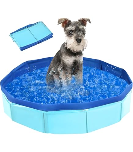 Draagbaar Zwembad Antislip PVC Zwembad VidaXL Hondenzwembad - Verkoeling En Plezier Voor Je Hond - Rood - PVC - 120 X 30 Cm -... | Bol Antislip Pvc Hondenbad Groot Formaat Honden Zwembad 120