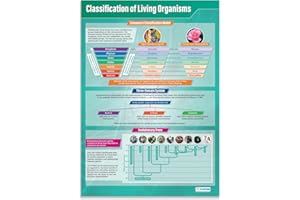 Classificazione degli organismi viventi | Poster scientifici | Carta lucida laminata misura 850mm x 594mm (A1) | Grafici scientifici per l'aula | Grafici didattici di Daydream Education