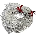 Embroiderymaterial Dapka for Aari & Zardosi Embroidery & Jewellery Work,0.5MM, Smooth Finish, Silver Color(100 Gram)