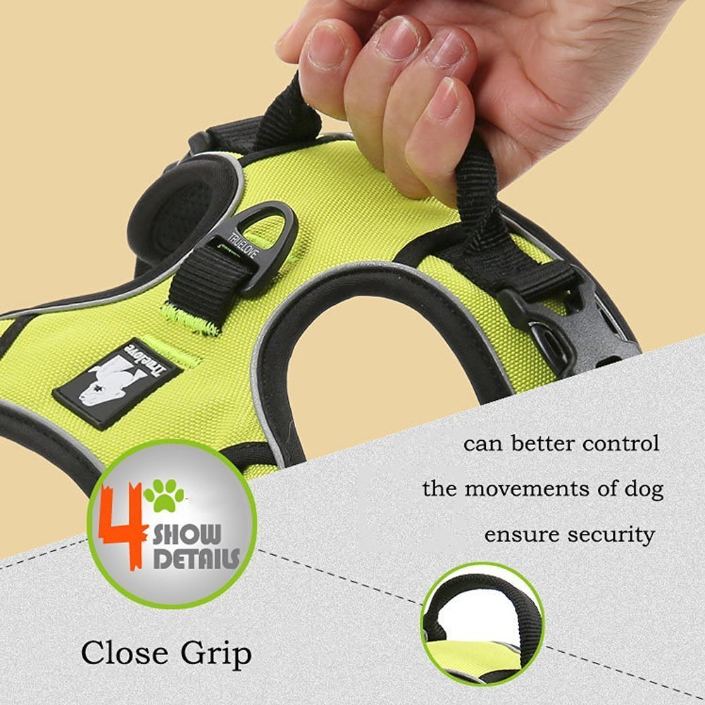kismaple dog harness