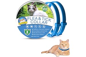 SURGLAM Cat Flea and Tick Collar, Flea Treatment Cat 2pcs, 8 Months Effective Protection Waterproof Adjustable Cat Flea Collar Natural Safe Flea Tick Treatment for Kittens Cats Puppies Light Blue 15.7in Long