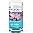 Aquascape Dry Beneficial Bacteria for Pond and Water Features, 1.1-Pound | 98949 | ⭐Exclusive