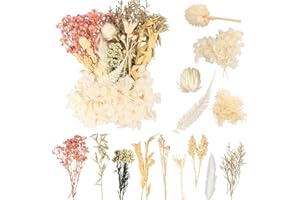 LAUMOE Trockenblumen, Getrocknete Blumen, Trockenblumen zum Basteln, Trockenblumen Weiß Trockenblumen Deko Mehrblütige Version für Kunst Basteln Dekoration (Weiß 2)