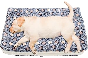 smashing Couverture pour Chien - Couverture pour Chien/Chat avec de Jolies Empreintes de Pattes - Couvertures de Chat pour Chats d'intérieur, Couverture pour Animaux de Compagnie pour lit, canapé