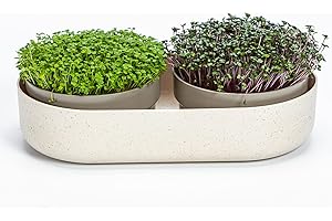 ‎PLASTIA Urbalive 2-in-1 große Keimschale Set - 2X Kresse Anzuchtschale für Sprossen, Kressesamen, Microgreens - Design Kressesieb aus hochwertigem Kunststoff - Keimsprossenbox Keimgerät mit Regrow Option