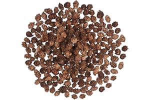 FANGOO 200 piñas de Pino de Navidad, Mini piñas Naturales de Acción de Gracias, Adornos de piñas de Navidad a Granel para decoración del hogar, Manualidades, árbol de Navidad, decoración de otoño e Invierno