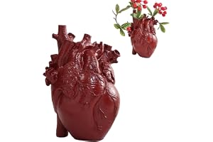 Molyorch Hjärtvas anatomisk, vas hjärta anatomisk, för blomsterarrangemang dekoration, presenter till biktning, läromedel