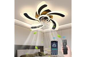 ‎REVNEEY Deckenventilator Mit Beleuchtung LED 96W Dimmbar Deckenlampe Mit Ventilator Leise Lampe Mit Ventilator Und Fernbedienung 6-Gang Reversibler Motor Für Wohnzimmer Schlafzimmer Esszimmer Licht,Schwarz