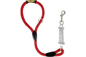 AVANZONA Correa para Perros, Amortiguador, Antitirones, para Perros medianos y Grandes, Fabricada en España. 60cm. Rojo