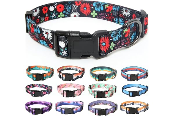 HEELE Collier pour Chien, Collier de Style Doux et Confortable avec Motifs Uniques Fleurs Multicolores, Ajustable avec Fermeture Rapide pour Petit, Moyen et Grand Chien, Rouge Vif, S