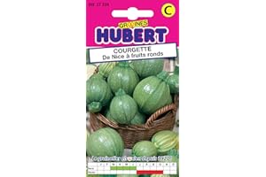 GRAINES HUBERT SEMENCES & ENGRAIS MAIROL Graines de Courgette de Nice à fruits ronds - 3 grammes