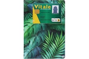 Color Pop Etui santé avec fenêtre pour Carte Vitale - Fabrication française (Imprimé Feuille) - en PVC - Ordonnances/Carte Vitale/Carte mutuelle/Feuilles maladie - 15,8 x 11,7 cm