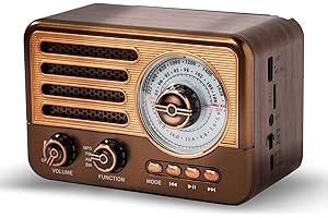 KJIXYUNG Radio de transistores Retro Radio Am FM SW con Pilas, pequeña Radio portátil Recargable con batería de Iones de Litio de 1800 mAh, Compatible con Tarjeta TF/Aux/Reproductor de MP3 USB
