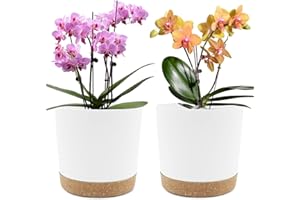 Vipomkowa 20Cm Flower Pot，Planters For Indoor Plants With Drainage Holes And Removable Base,Suitable For Indoor/Outdoor Garden Decoration(White/Grey/Green)