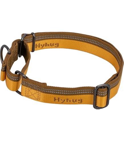 Mikivery Martingale Hundehalsband – Nylon, Verstellbar, Für Training, In 2 Größen