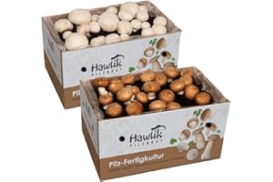 Hawlik Pilzbrut | 2 cultivos de champiñones | Cultivo setas champiñón blanco y marrón pequeño | 2x cultivos de setas mezcla | Cultivarse el Portobello