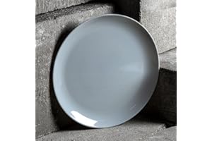 LYOR Dajar Luminarc Assiette en Verre trempé Gris 25 cm